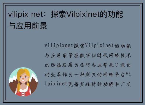 vilipix net：探索Vilpixinet的功能与应用前景